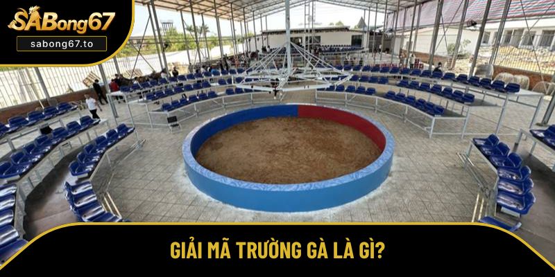 Hiểu đúng về trường gà là gì? Hiểu đúng về trường gà là gì?