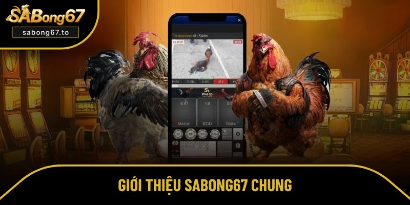 Giới thiệu SABong67 khách quan nhất 2025 Giới thiệu Sabong67 khách quan nhất 2025