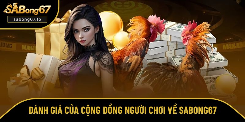 SABong67 được cộng đồng người chơi đánh giá cao Sabong67 được cộng đồng người chơi đánh giá cao
