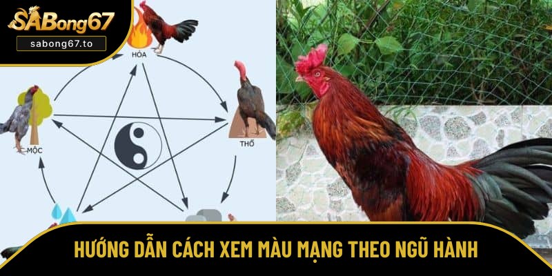 Chia sẻ cách xem màu mạng chuẩn xác nhất Chia sẻ cách xem màu mạng chuẩn xác nhất