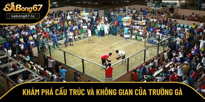 Tìm hiểu chi tiết về cấu trúc và không gian của sới Tìm hiểu chi tiết về cấu trúc và không gian của sới