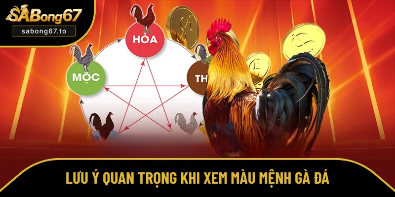 Vấn đề cần chú ý khi xem màu mệnh cho gà đá Vấn đề cần chú ý khi xem màu mệnh cho gà đá