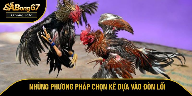 Những phương pháp chọn kê dựa vào đòn lối Những phương pháp chọn kê dựa vào đòn lối