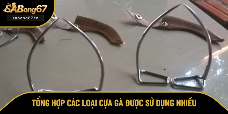 Top 2 loại cựa gắn cho gà thường gặp nhất Top 2 loại cựa gắn cho gà thường gặp nhất