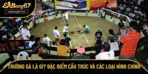 Trường gà là gì